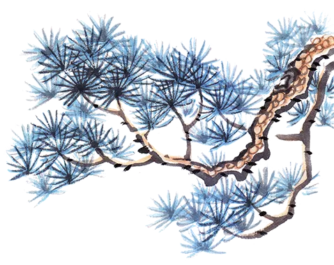 40年的坚持!环亚旅游一次次把中国“走深”.