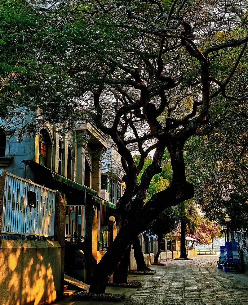 中国最干净的6座旅游城市,70岁之前一定要去一次!!