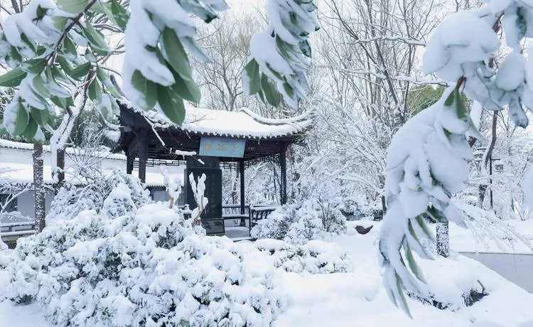 柳州十大旅游景点,冬天适合带孩子去的地方,周边一日游好去处