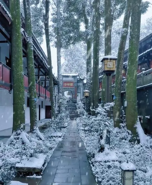 2-3月成都旅游好去处,成都冬天最美的10个景点,周边自驾游一日游