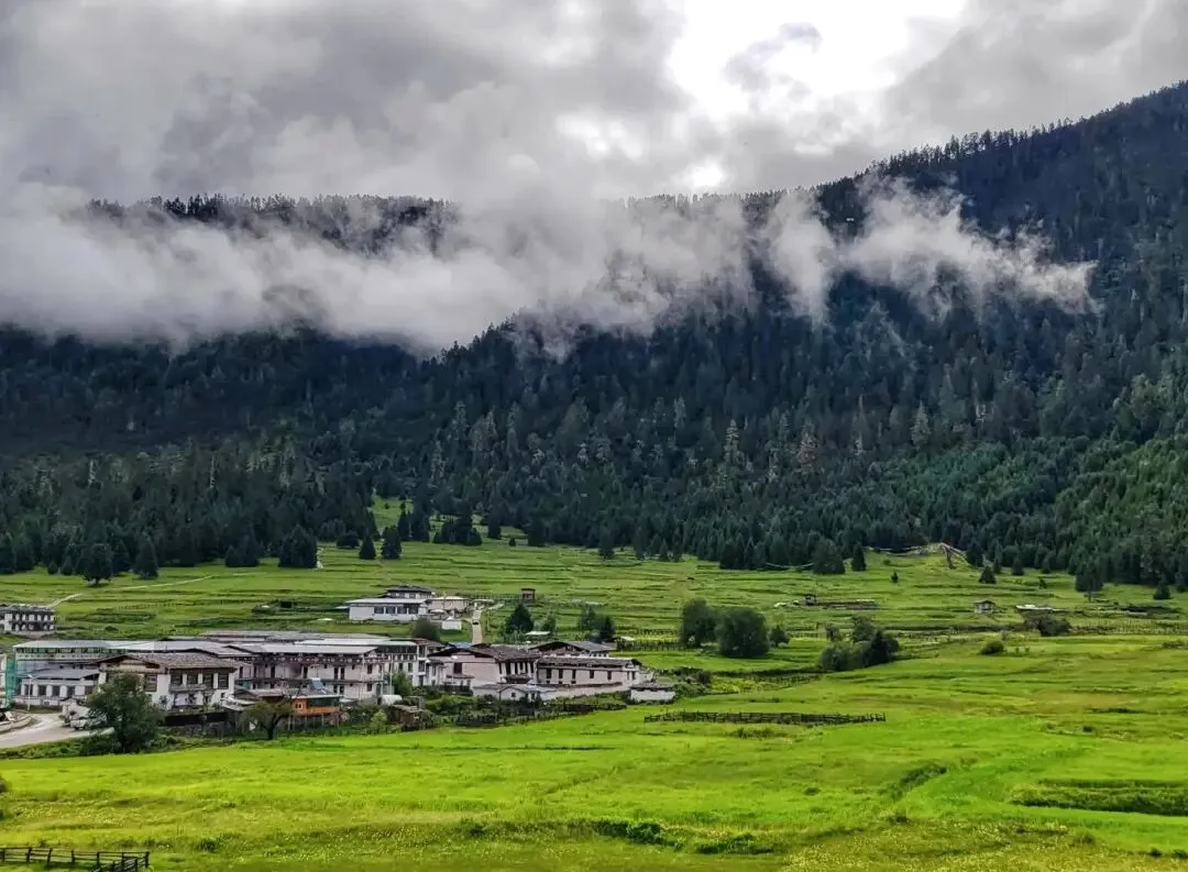 西藏-林芝鲁朗景区
