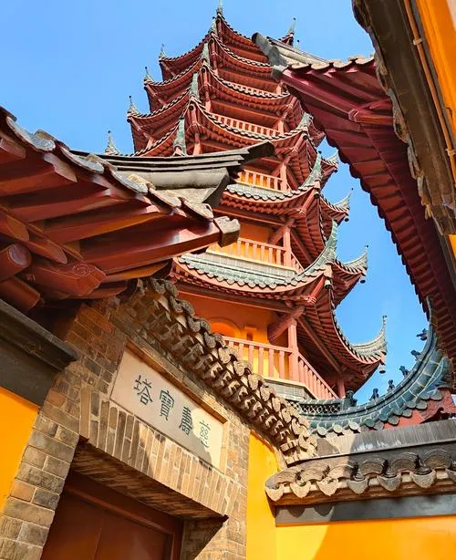 镇江十大旅游景点,冬天适合带孩子去的地方,周边一日游好去处