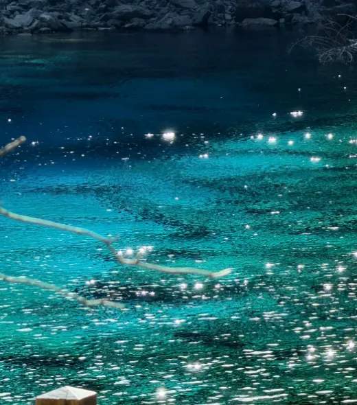 大量日本游客涌入九寨沟,打着旅游幌子不逛五彩池不吃藏餐,为什么?