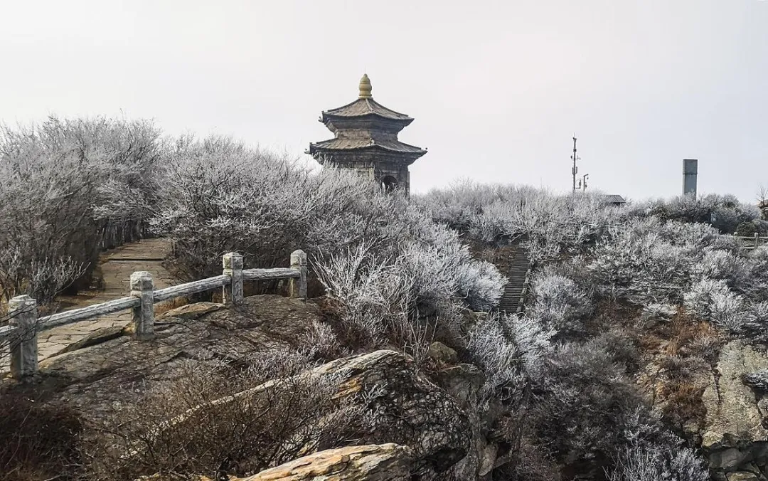 安徽淮北六大必去景点,2026春节旅游最合适的地方,假期好去处