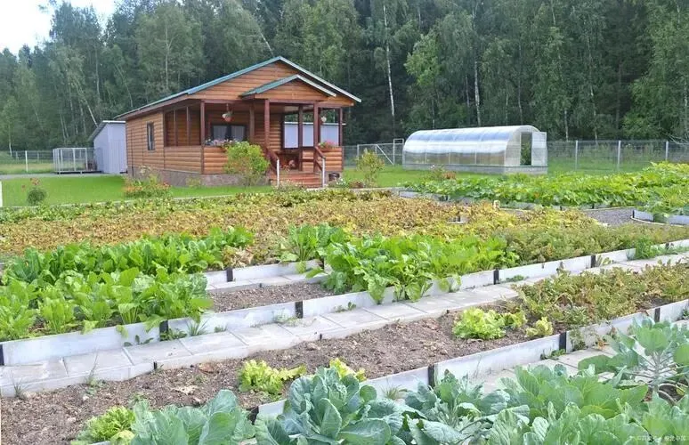 【乡村旅游】2026 年农业发展新方向:乡村回流潮,打造家庭农场全攻略