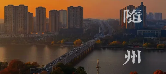 大量日本游客涌入湖北随州,打着旅游幌子不逛炎帝故里不吃泡泡青,为什么