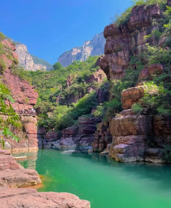 大量日本游客涌入河南焦作,打着旅游幌子不逛云台山不吃怀庆驴肉,为什么