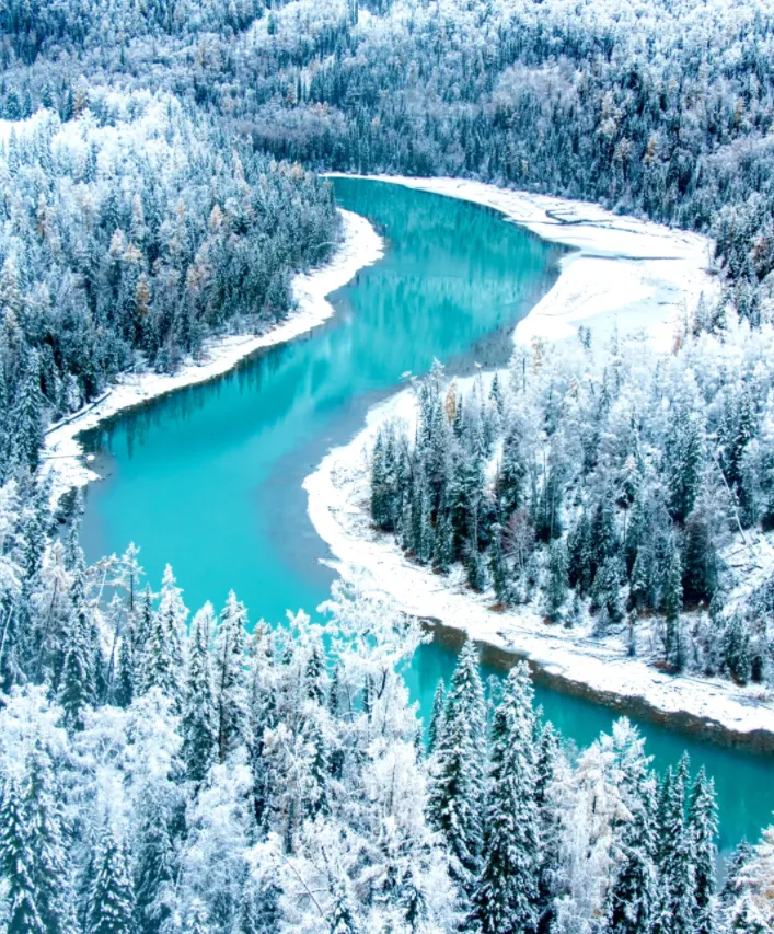 大量日本游客涌入阿勒泰,打着旅游幌子不逛喀纳斯不吃手抓肉,为什么?