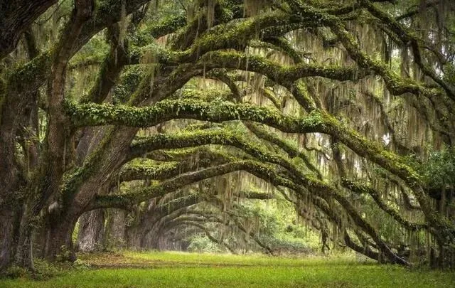 安徽又一景区火了,被誉为 “皖南小张家界”,适合冬季徒步赏景