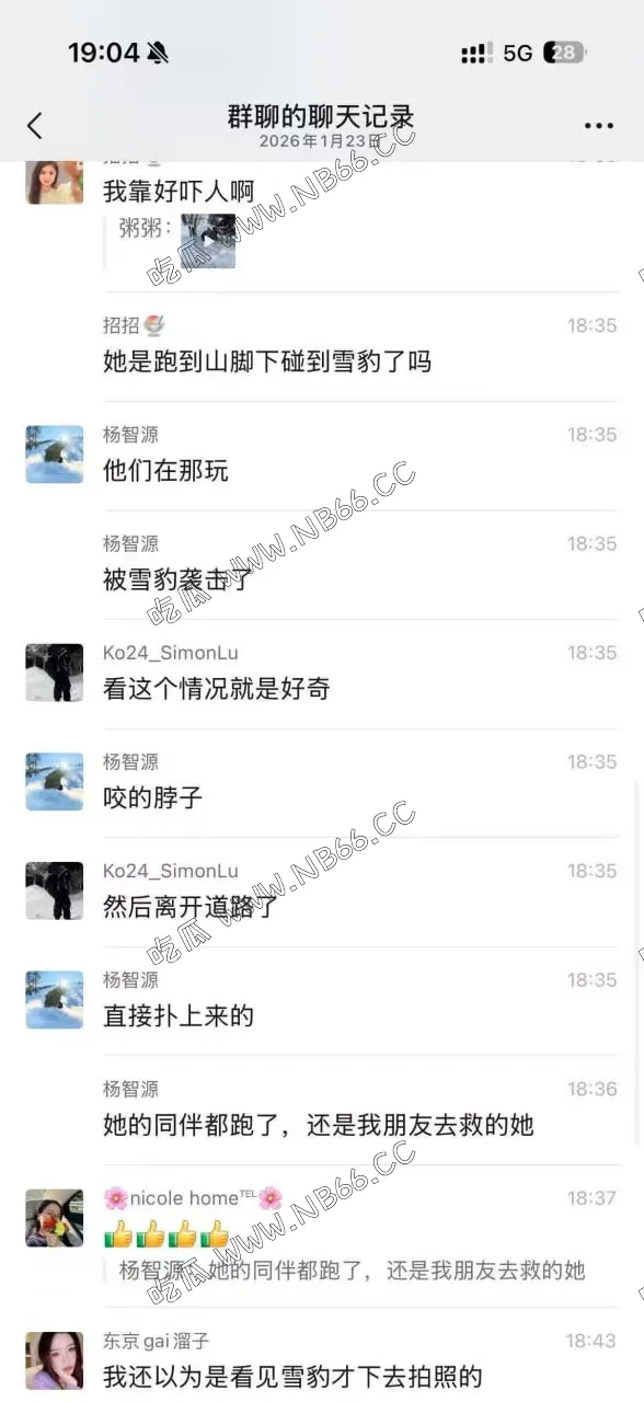 某雪地景区 私自下车撸雪豹玩被制裁