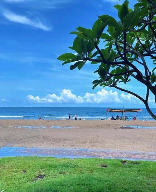 惠州十大旅游景点,冬天适合带孩子去的地方,周边一日游好去处