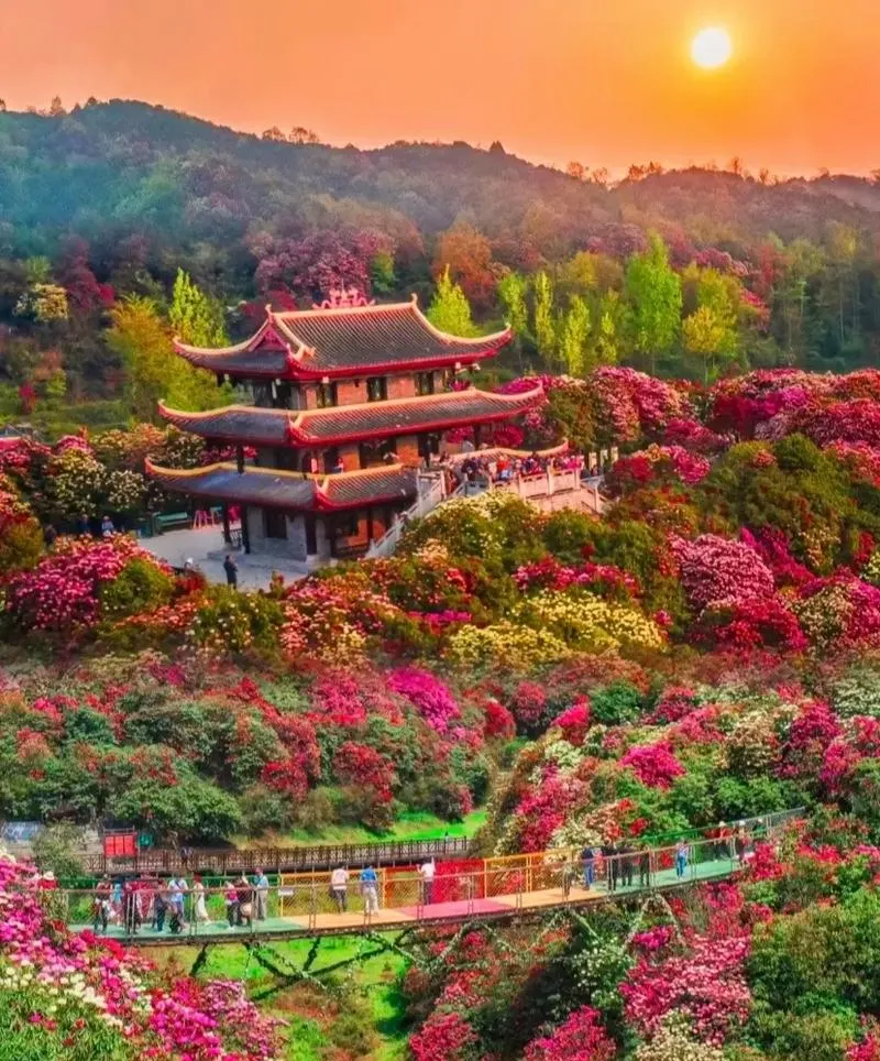 毕节2-3月旅游好去处冬天最美的10个景点周边自驾游一日游