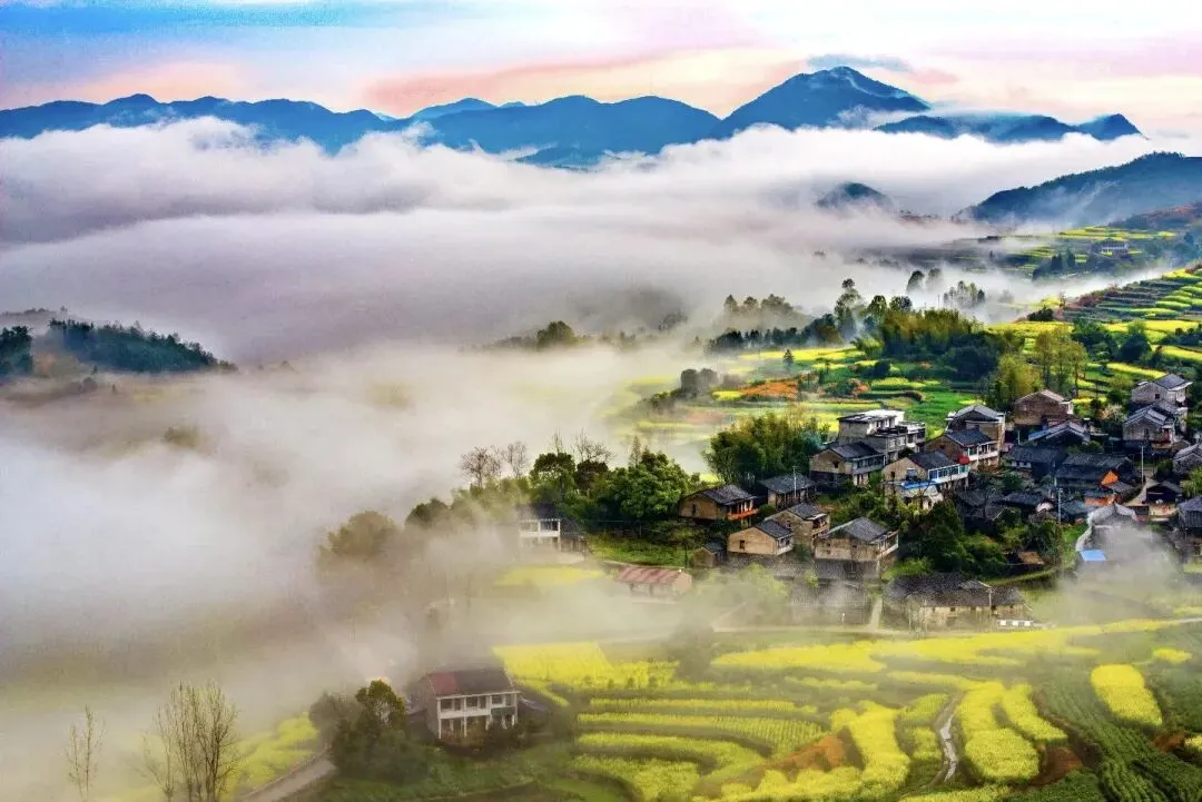 免费开放!宁波新增两个旅游景区