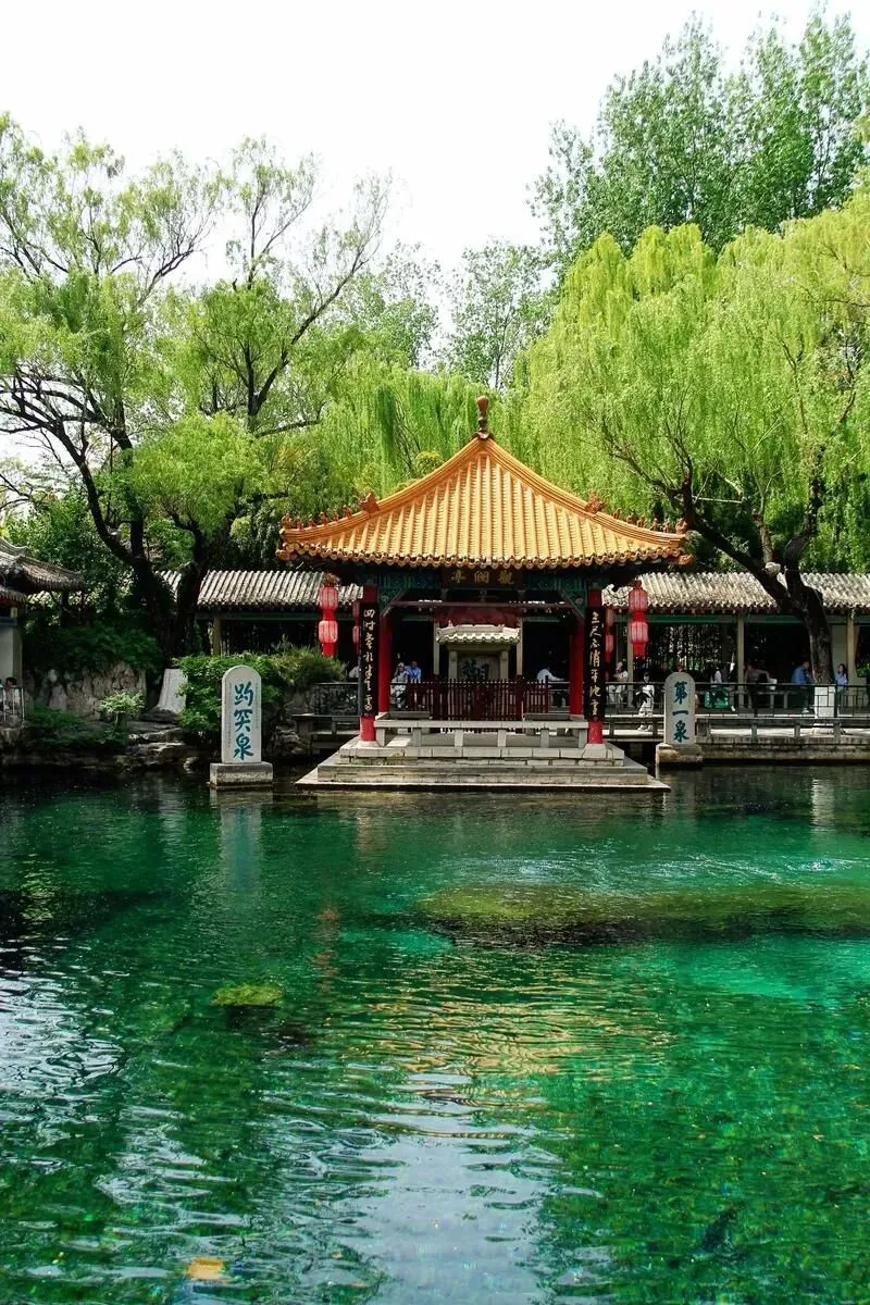 大量日本游客涌入济南,打着旅游的幌子,不逛趵突泉,不吃把子肉,为什么?