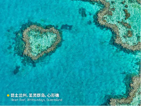 收藏这份清单!澳洲最值得去的绝美景点TOP之昆士兰州