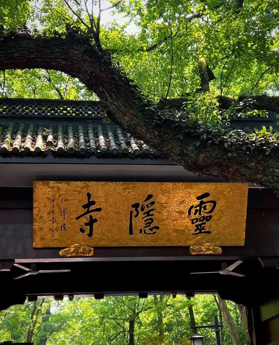 预约不去,限制升级!灵隐飞来峰景区发布新规!最新明确