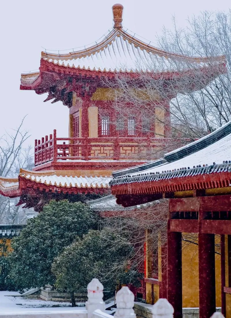 枣庄2-3月旅游好去处冬天最美的10个景点周边自驾游一日游