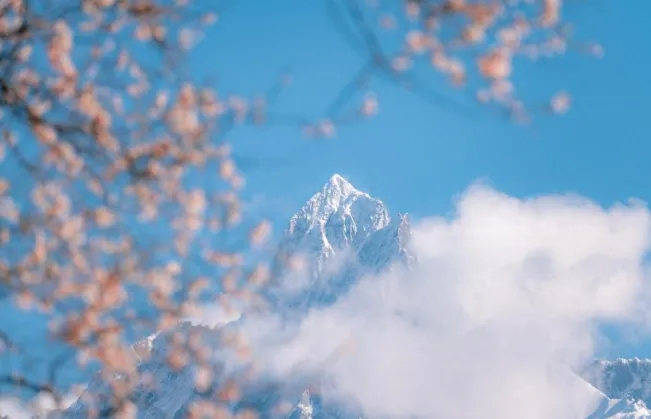 辽宁一景区火了!37 亿砸出 610 亩水镇,想超过乌镇周庄?