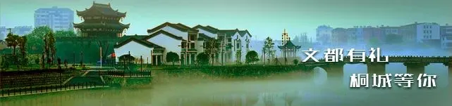 关于桐城市文化旅游体育局1980-2025年度档案整理、数字化加工服务项目(二次)成交结果的公示