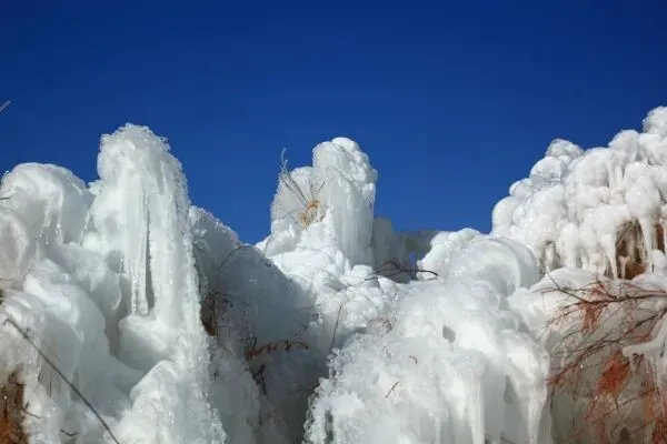 【于田新闻】于田冬季龙湖旅游区:枝头冰挂裹银装 龙湖冬趣等您赏