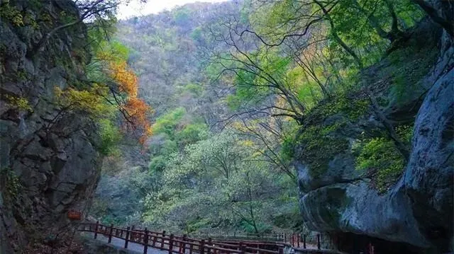 西安又美又近的4A景区,限时免费!老人孩子都适合周末去