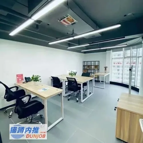 旅游内推哪家好:猫蹲内推专业领航