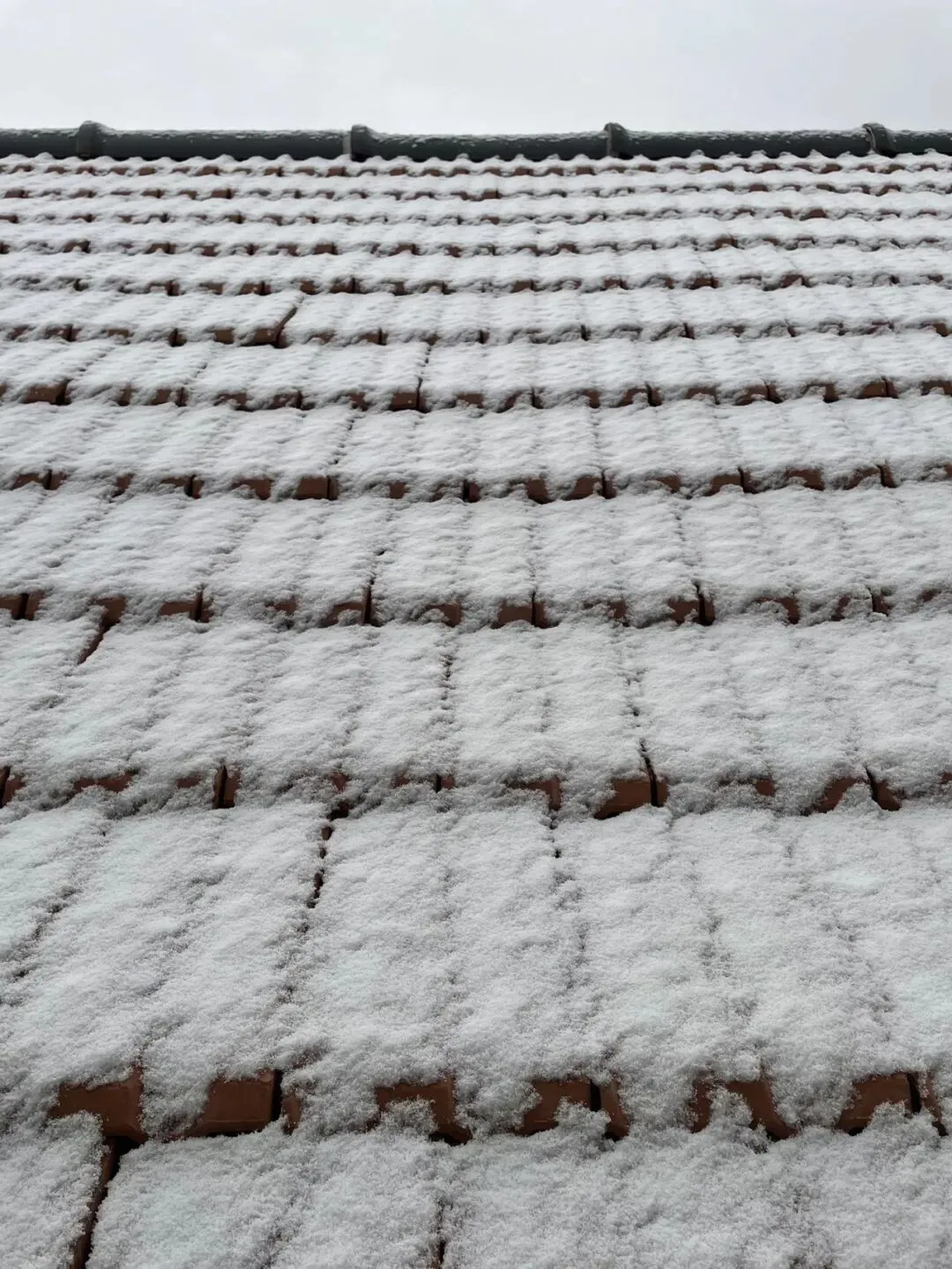 旅游二三事之随思