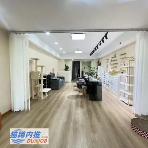 旅游内推小程序哪家好:猫蹲内推小程序优选