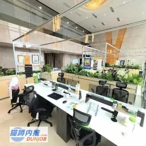 旅游内推网站哪家好:猫蹲内推网站翘楚