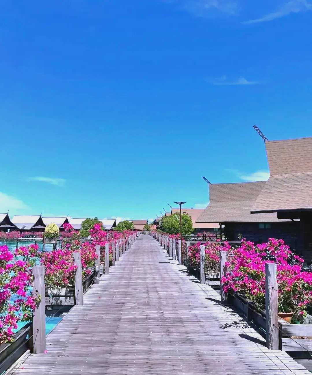 计划前往马来西亚旅游该选哪家社?国内最靠谱旅行社权威排名出炉,专业出境游机构该如何筛选