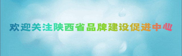 【品牌价值】陕西法门寺文化景区旅游发展有限公司——法门寺文化