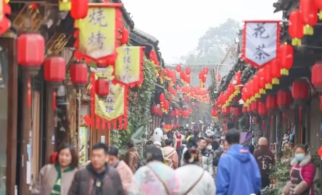 2023年春节“黄金周”假日文化和旅游市场情况(五)