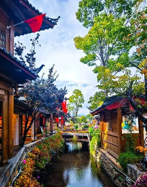 大量日本游客涌入丽江,打着旅游的幌子,不逛丽江古城,不吃腊排骨,为什么?