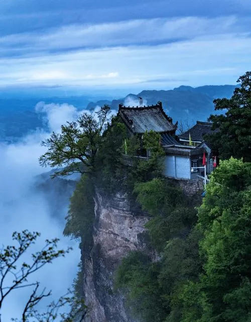 大量日本游客涌入陇南,打着旅游的幌子,不逛官鹅沟,不吃洋芋搅团,为什么?