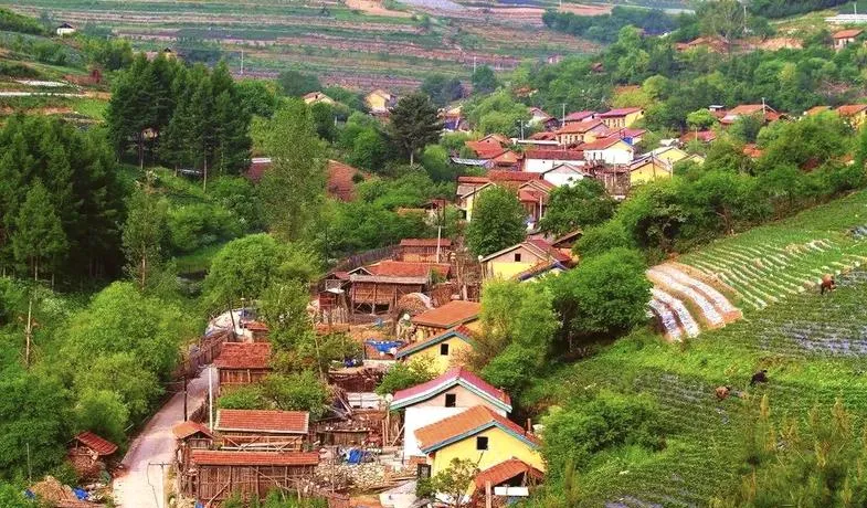 大量日本游客涌入海东,打着旅游的幌子,不逛互助土族故土园,不吃青稞酒,为什么?