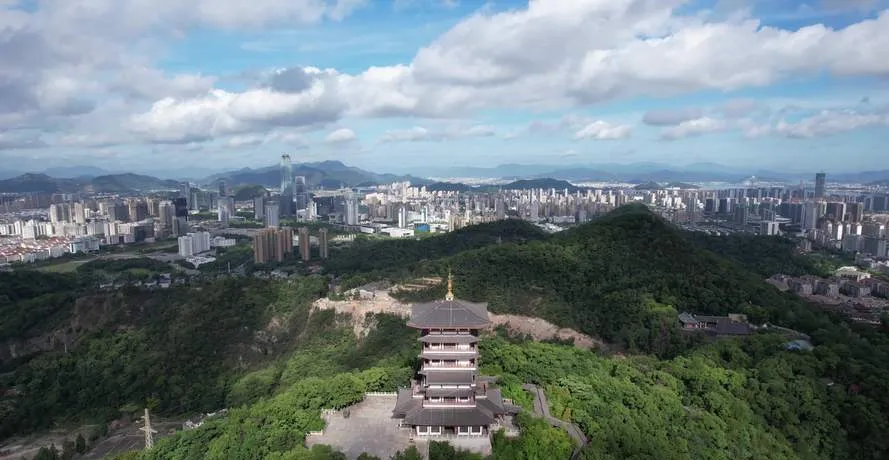 大量日本游客涌入台州,打着旅游的幌子,不逛神仙居,不吃食饼筒,为什么?