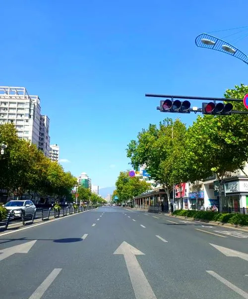 大量日本游客涌入金华,打着旅游的幌子,不逛双龙洞,不吃金华火腿,为什么?