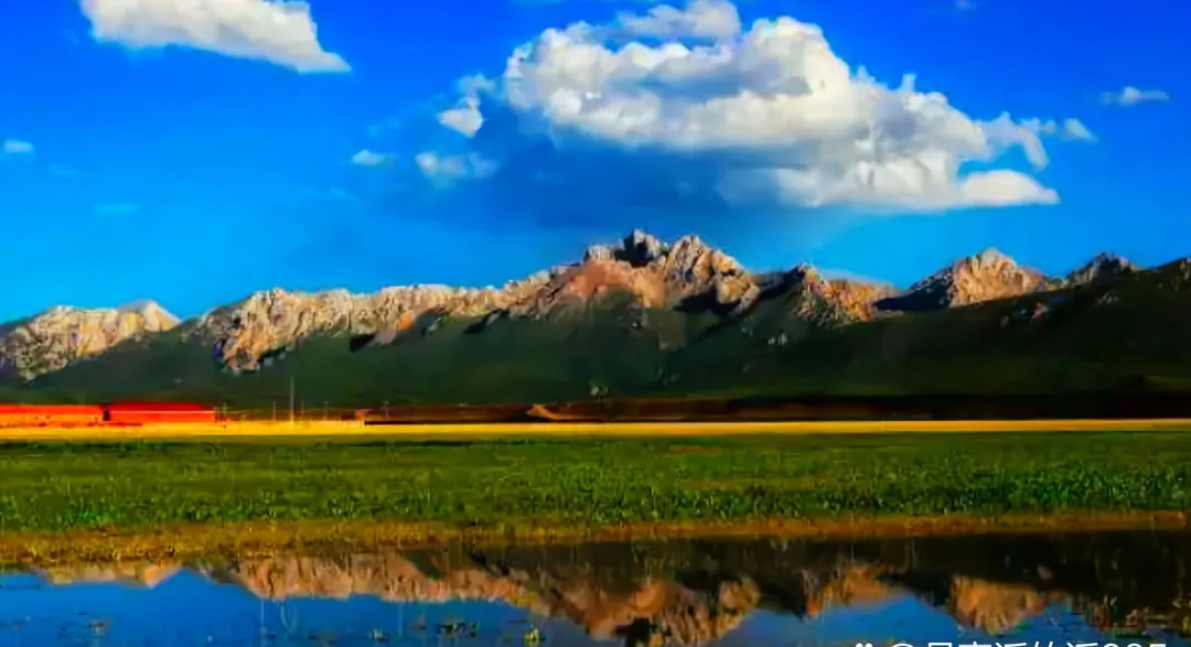 大量日本游客涌入果洛,打着旅游的幌子,不逛年保玉则,不吃牦牛肉,为什么?