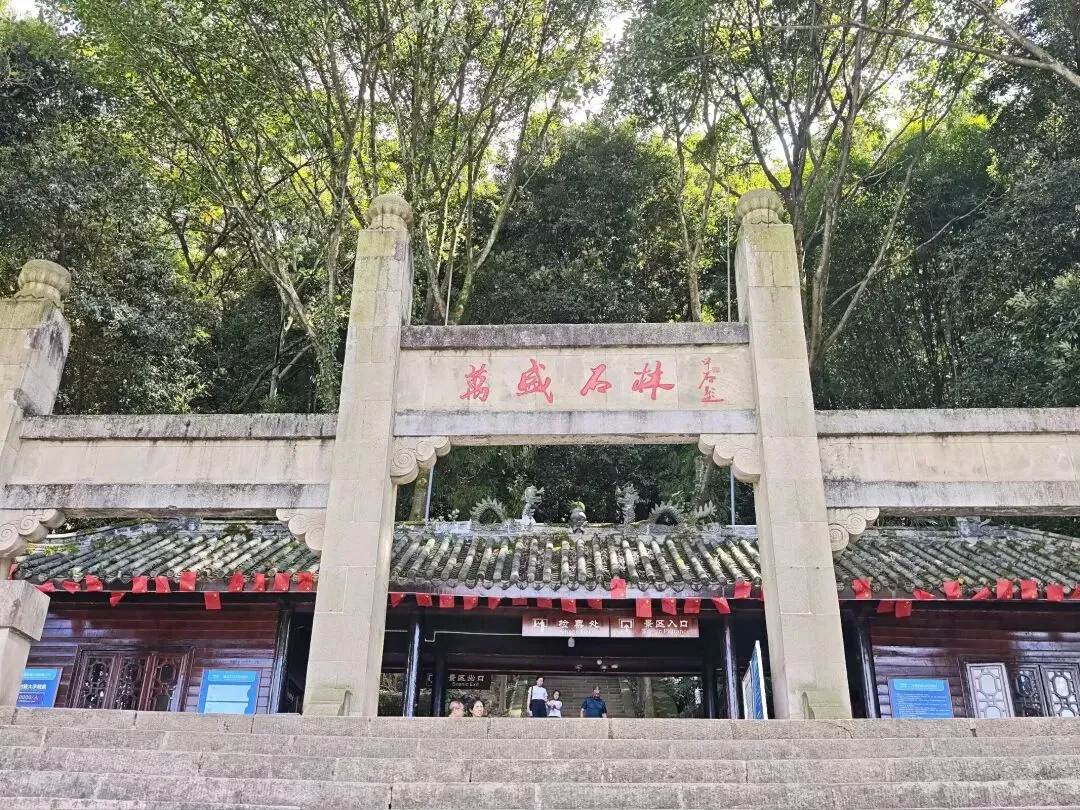 重庆万盛石林,5A级景区龙鳞石海,中国最古老的石林地貌.