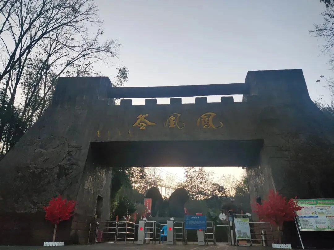 云南省曲靖市师宗县:凤凰谷景区