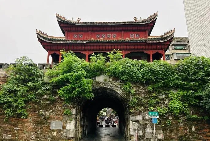 大量日本游客涌入邵阳,打着旅游的幌子,不逛崀山,不吃猪血丸子,为什么?