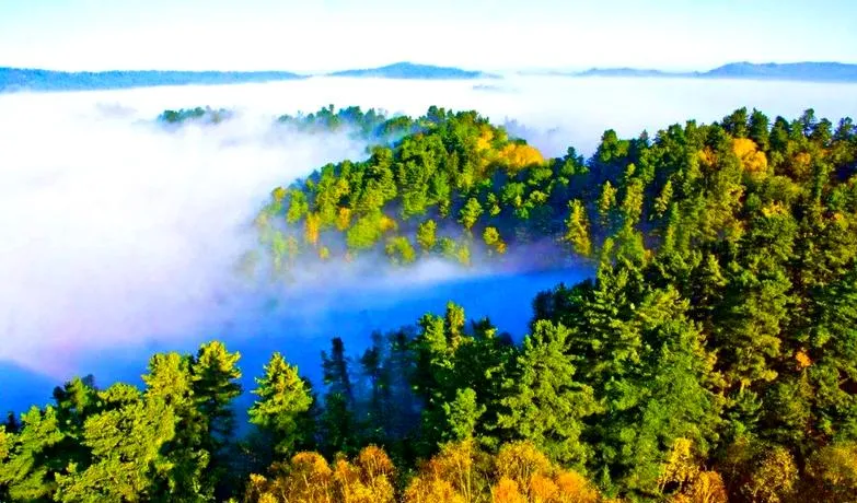 大量日本游客涌入大兴安岭,打着旅游的幌子,不逛北极村,不吃铁锅炖大鹅,为什么?