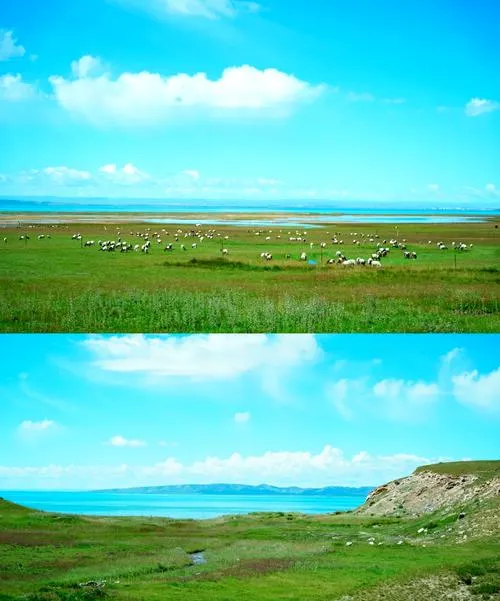 大量日本游客涌入海北,打着旅游的幌子,不逛原子城,不吃牦牛酸奶,为什么?