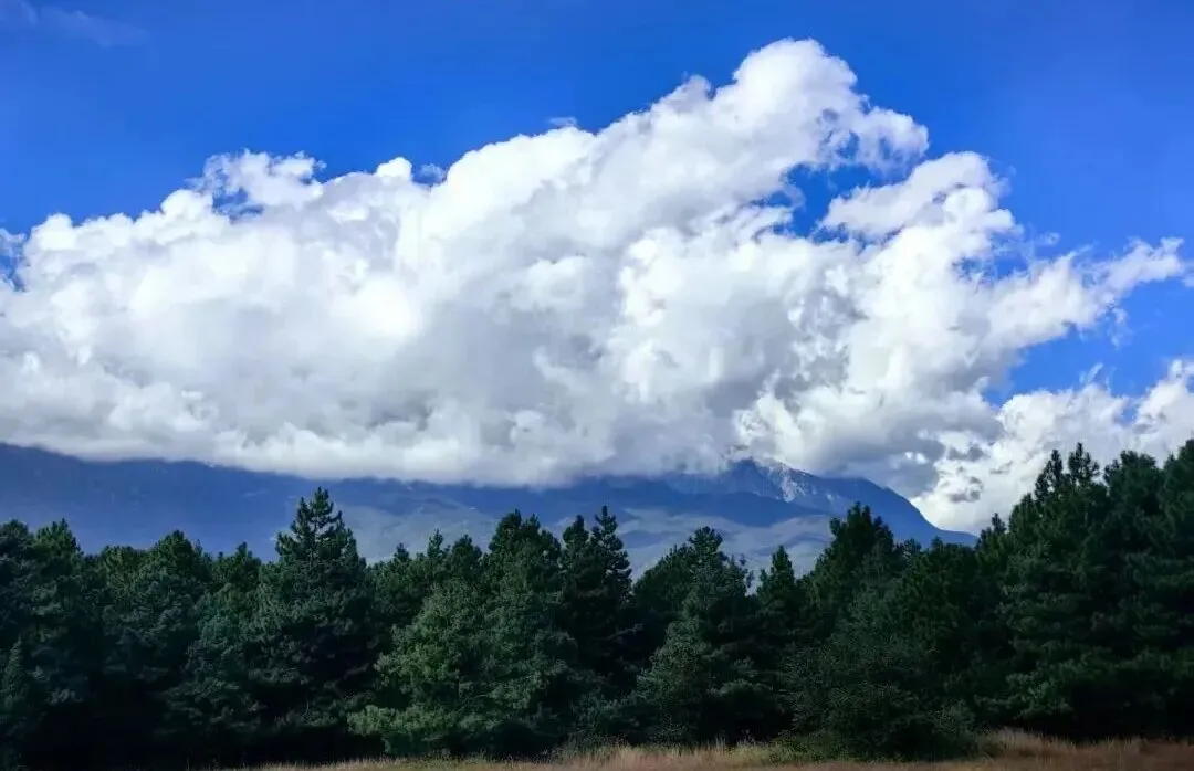 不花冤枉钱!3招实用粉丝经济引爆景区客流,游客主动打卡传播.