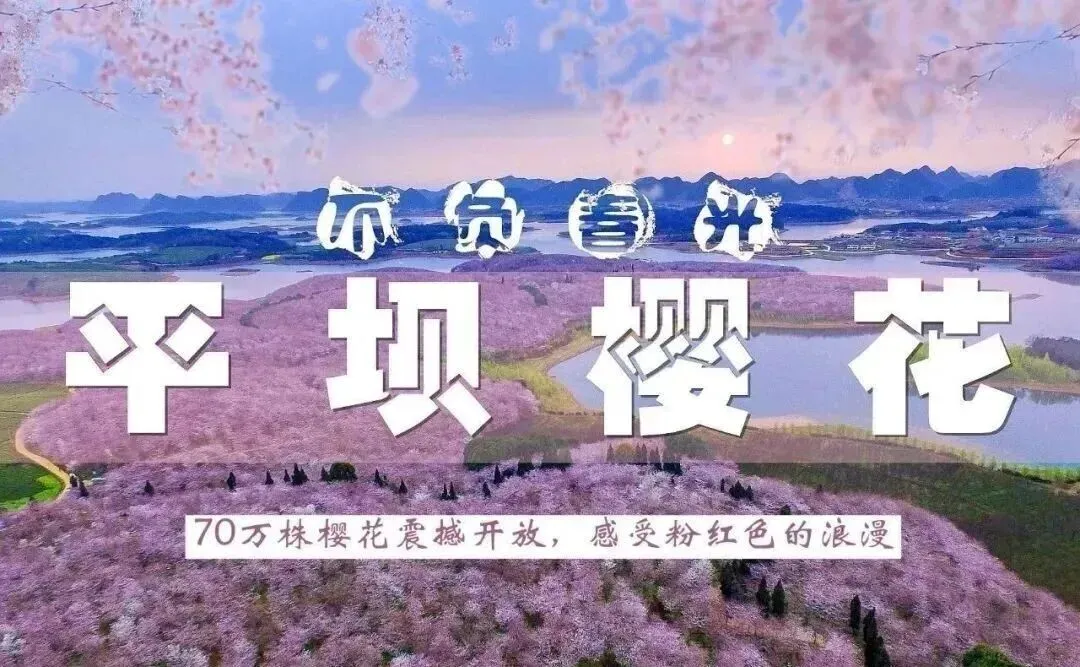 3月25号-4月1号花季贵州王牌景点七日游,赏平坝樱花经典线路