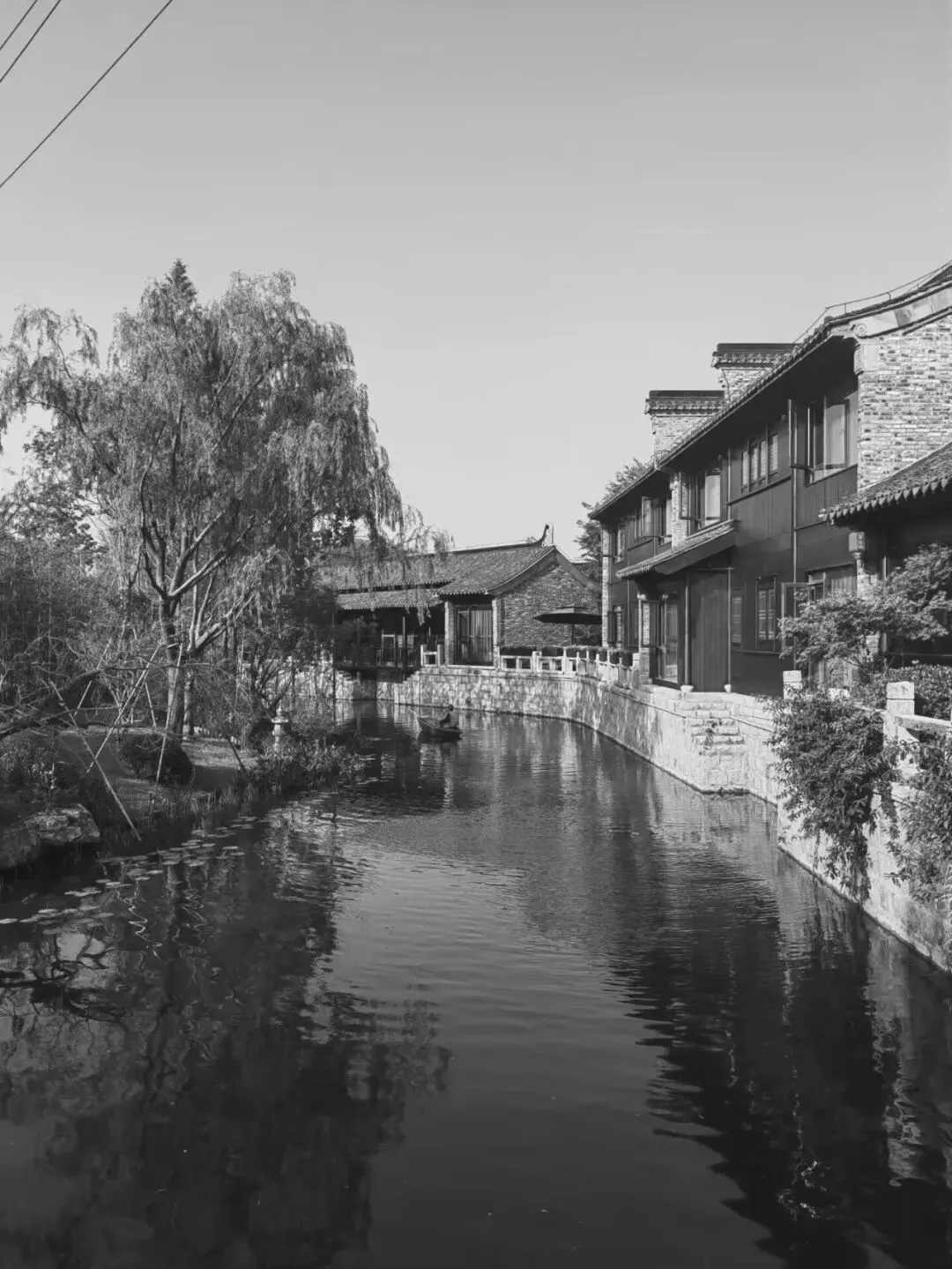 桃花岛主:大寒时节游西溪景区 || 宁古塔作家