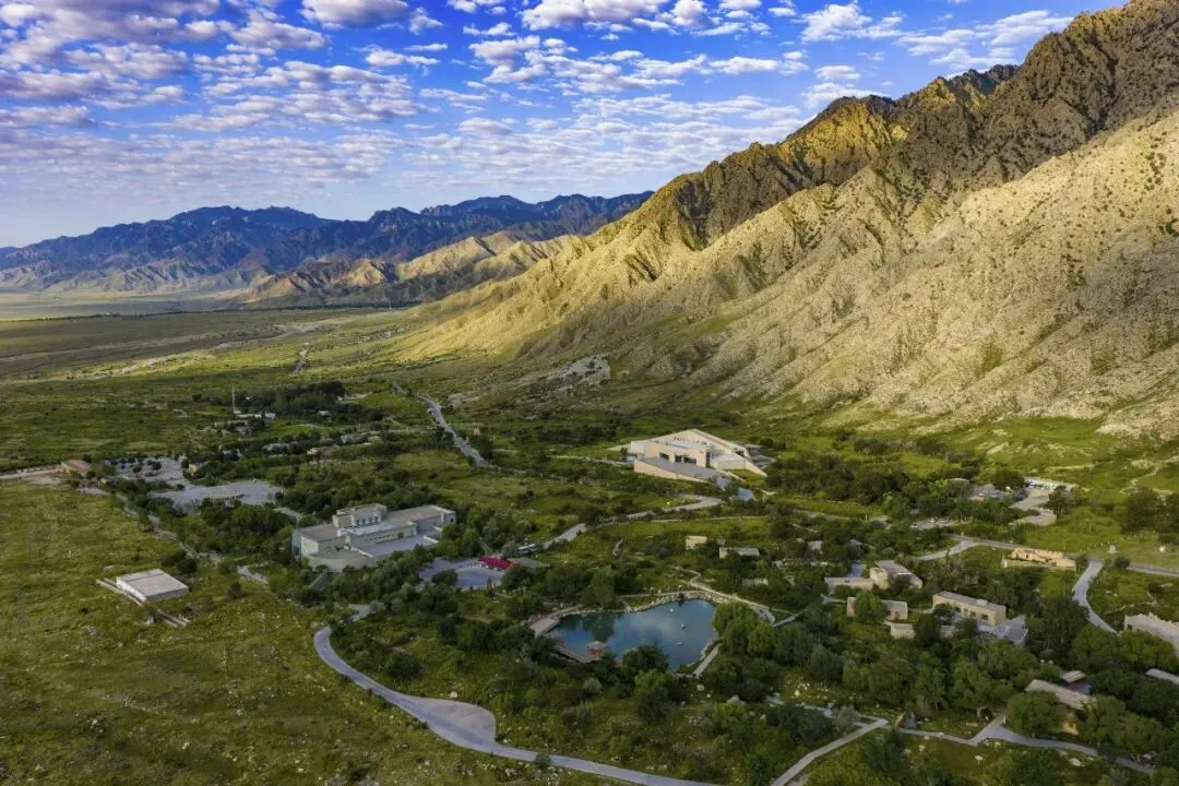 【观鸟胜地】贺兰山岩画景区成全国鸟友“新宠” “生态流量”催生“观鸟经济”