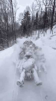 原来最抗冻的人是去东北旅游的游客