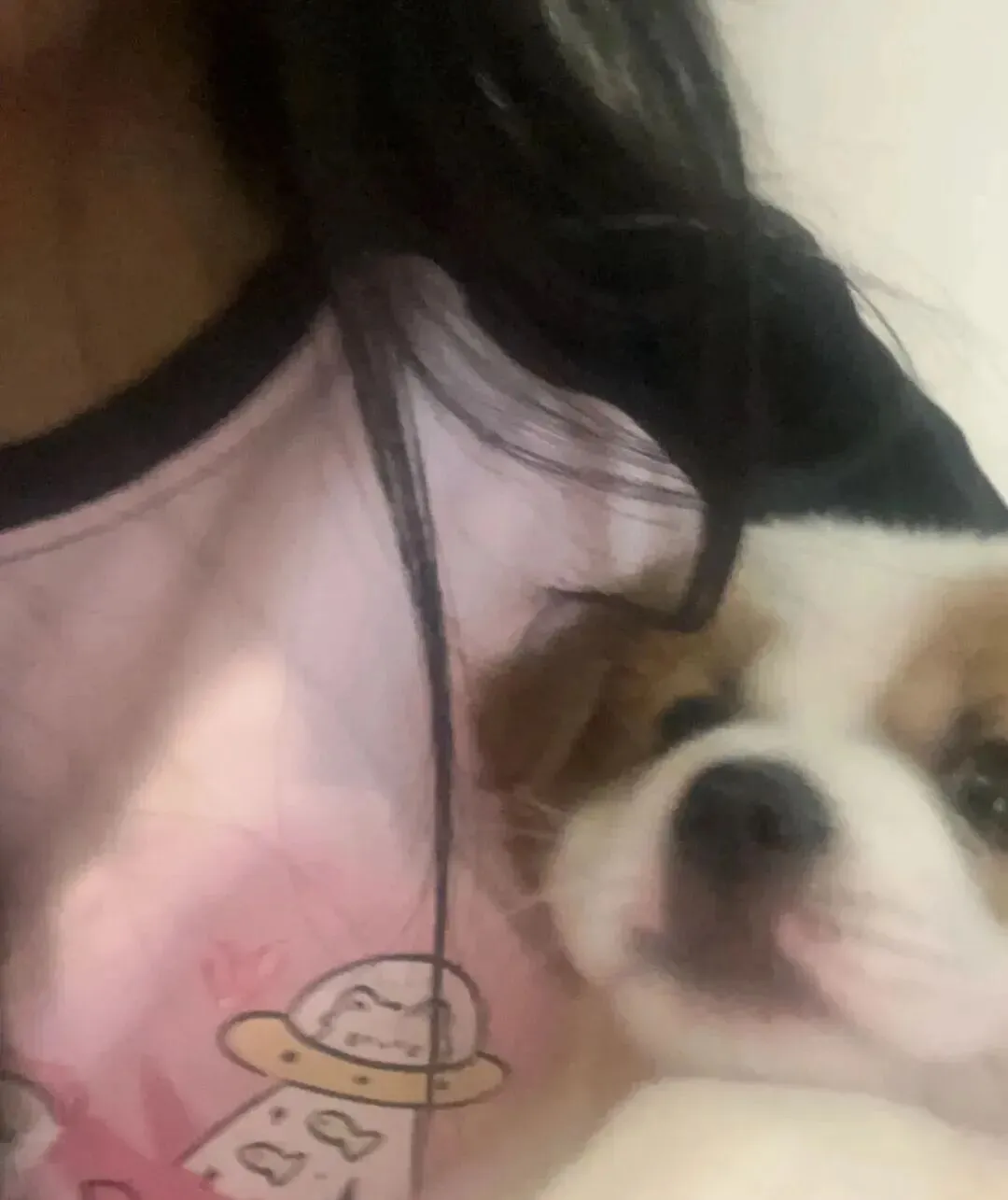 妹子旅游路上捡了只狗,啊啊啊这也太可爱了!