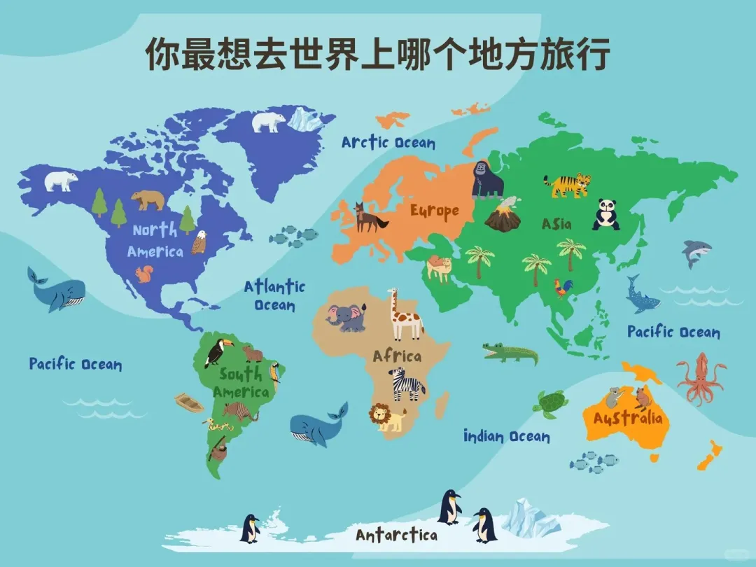 全球旅游区域的常见划分方式